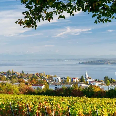 Ruheoase Mit See- Und Alpenpanorama